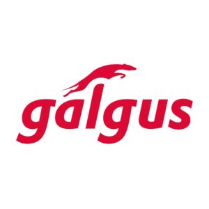 Inyector poe galgus g - py - acat - us